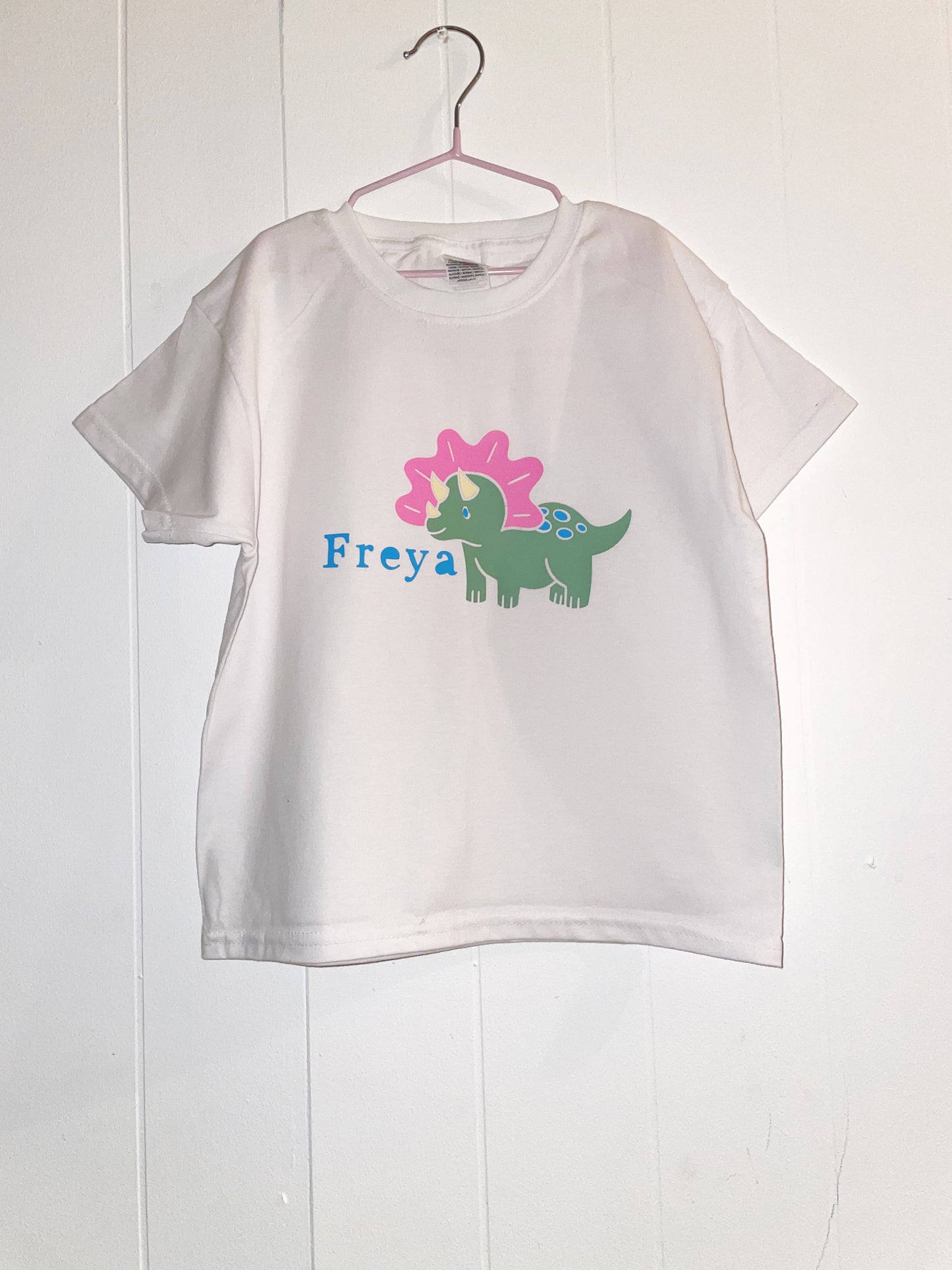 Dinosaur kids T-shirt