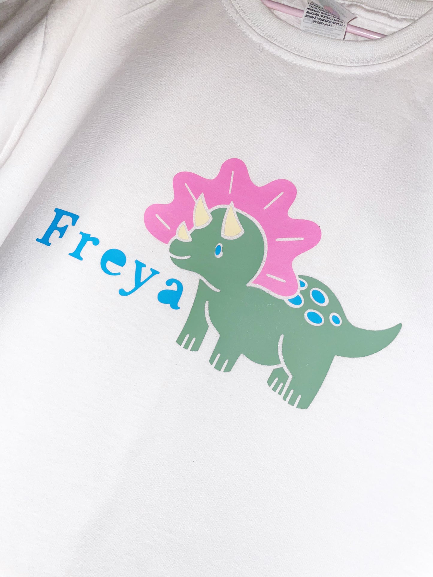Dinosaur kids T-shirt